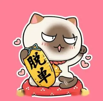 番友 追番不熬夜 的头像